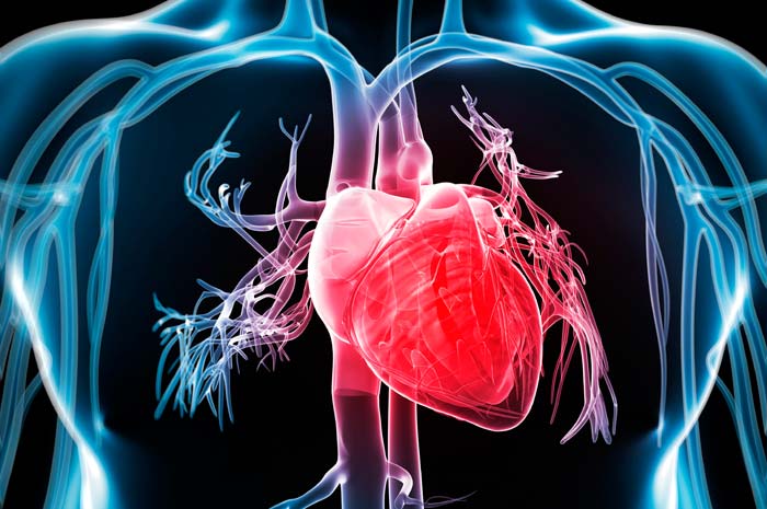 Popular Trends in Cardiologia